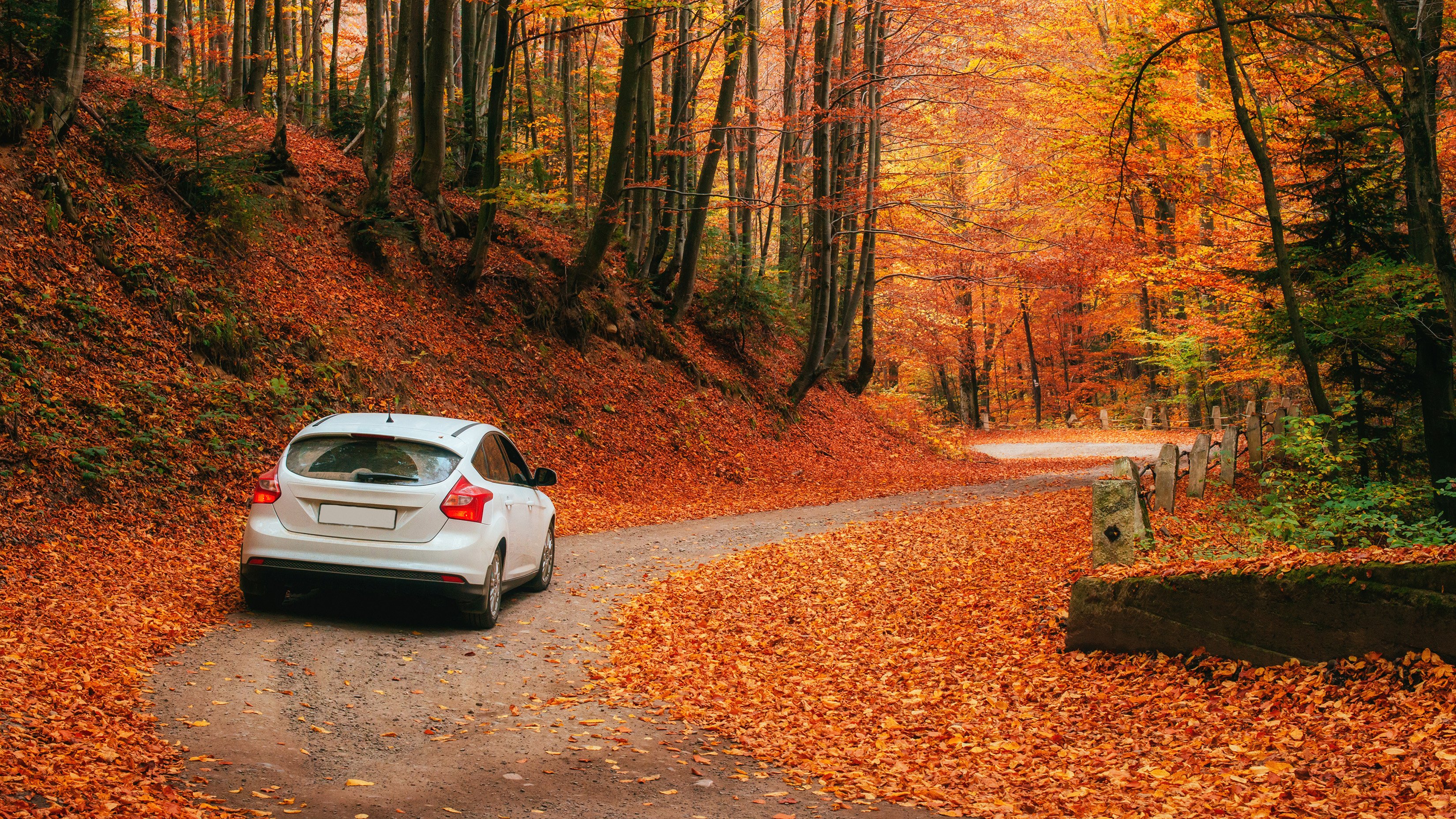 4 Great Reasons this October is the perfect time for a new auto loan